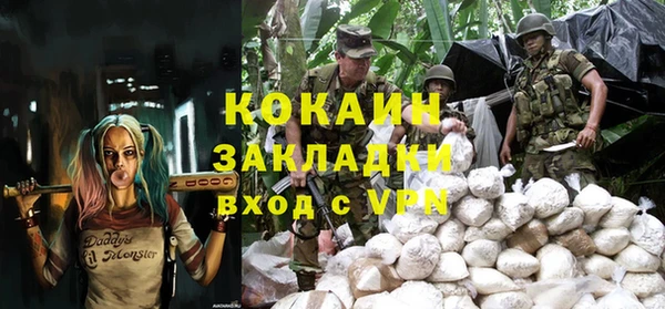 тгк Алзамай