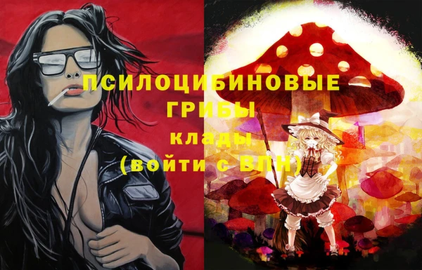 тгк Алзамай