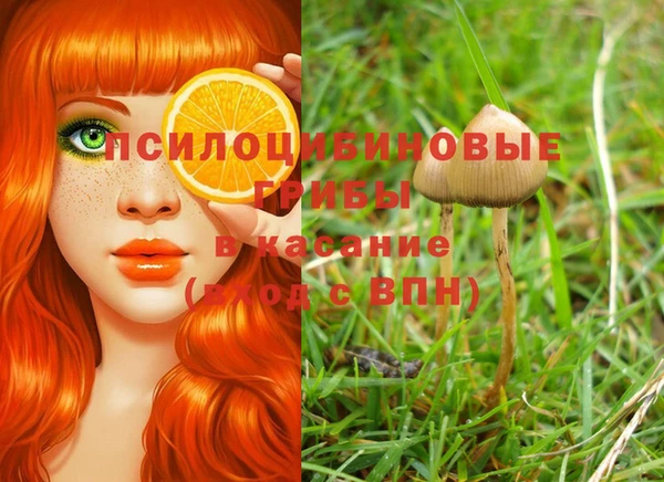 тгк Алзамай