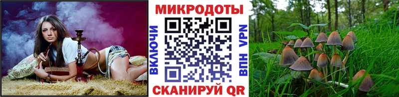 Псилоцибиновые грибы мухоморы  Купить  Ликино-Дулёво 